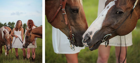 Equestrian Portraits