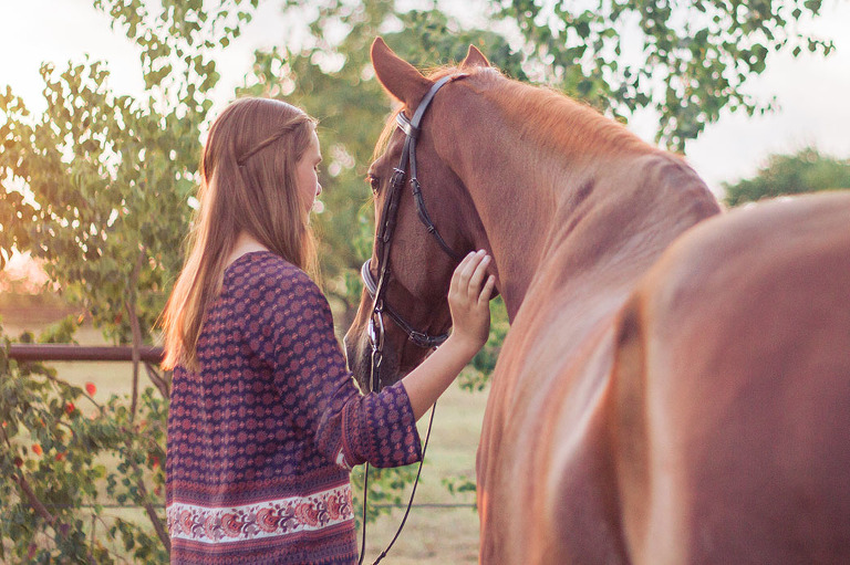 Horse and Rider Portrait