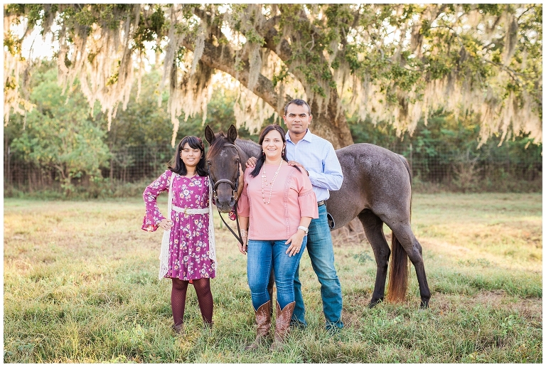 Houston, TX Equine Photographer