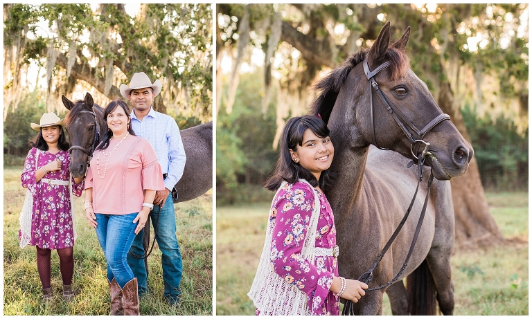 Houston, TX Equine Photographer