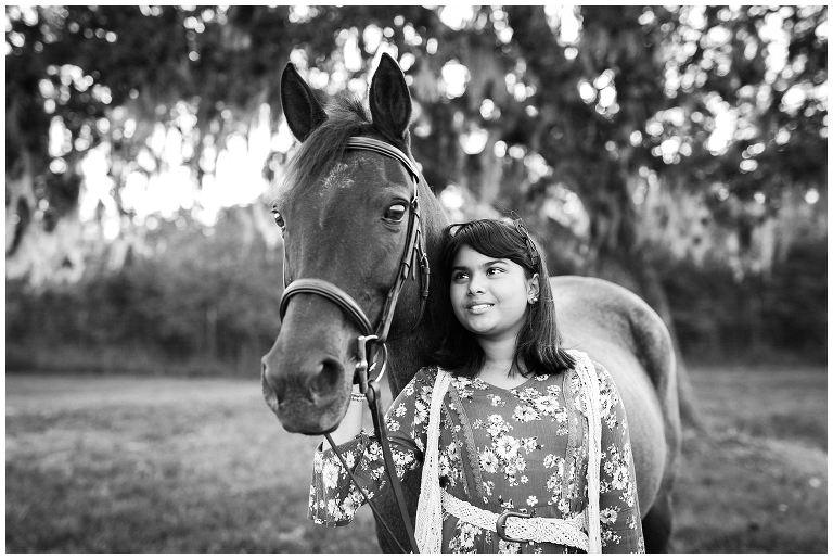 Houston, TX Equine Photographer