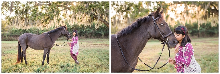 Houston, TX Equine Photographer