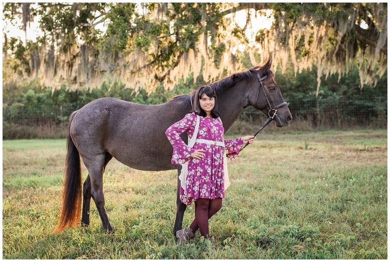 Houston, TX Equine Photographer