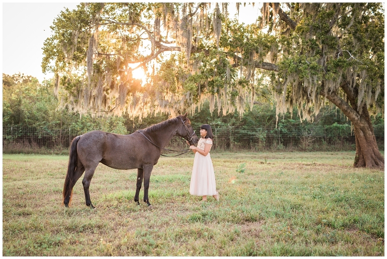 Houston, TX Equine Photographer