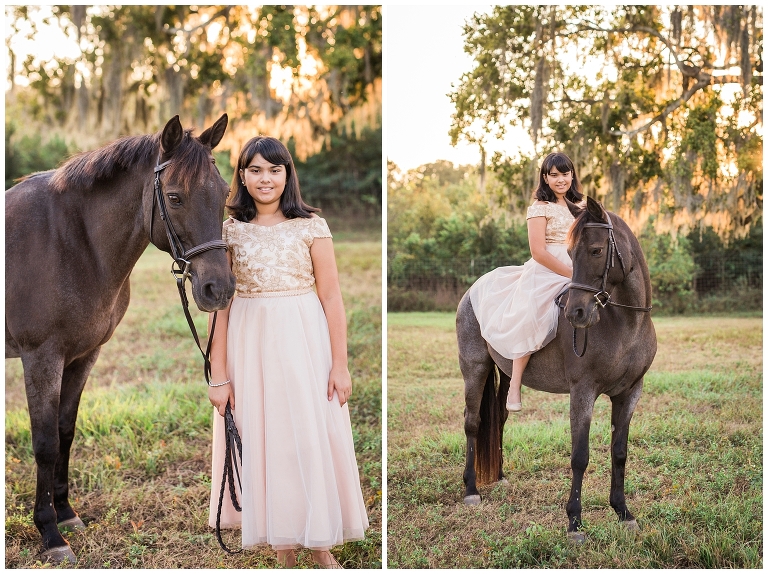Houston, TX Equine Photographer