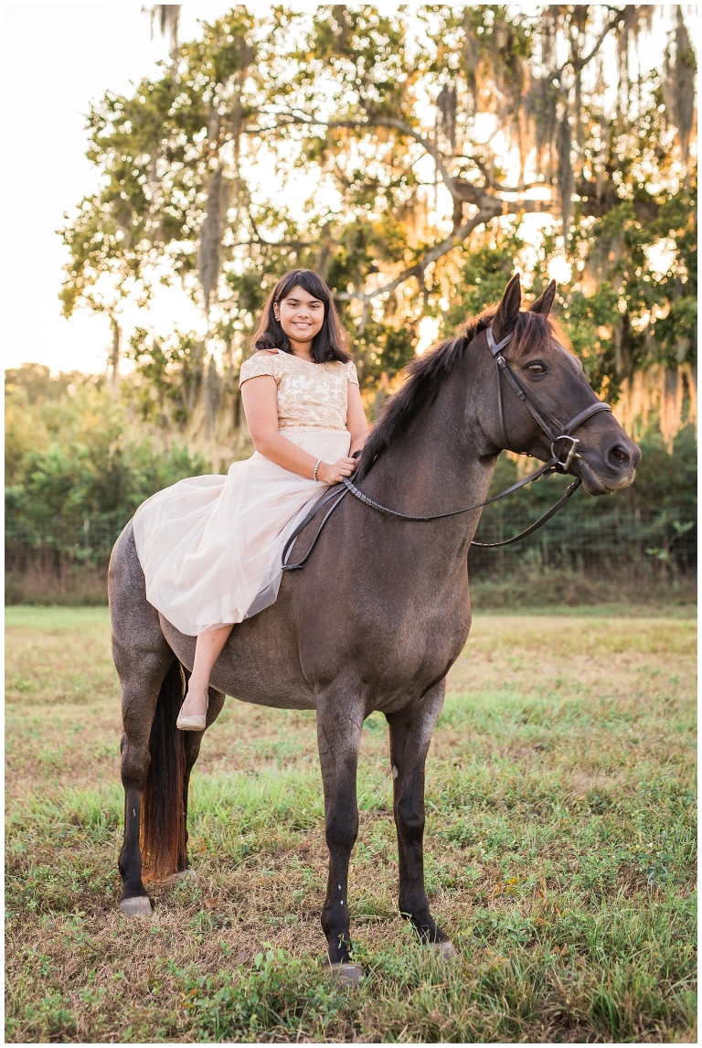 Houston, TX Equine Photographer