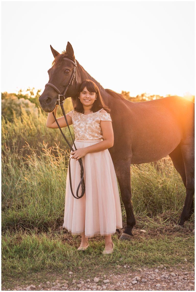 Houston, TX Equine Photographer