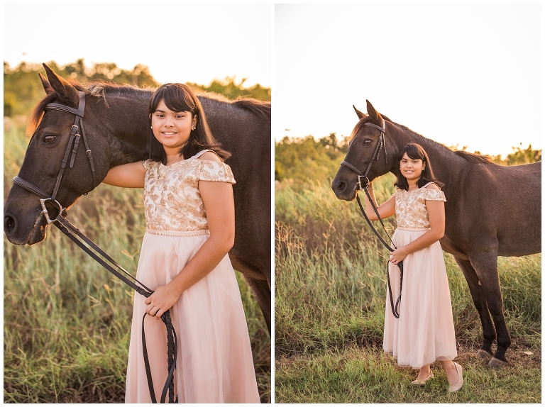 Houston, TX Equine Photographer