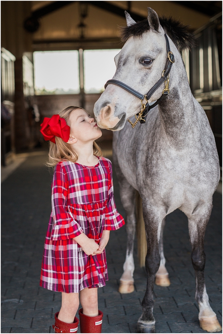 Houston Equine Photographer