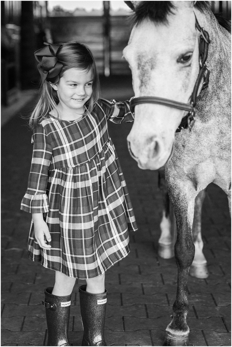 Houston Equine Photographer