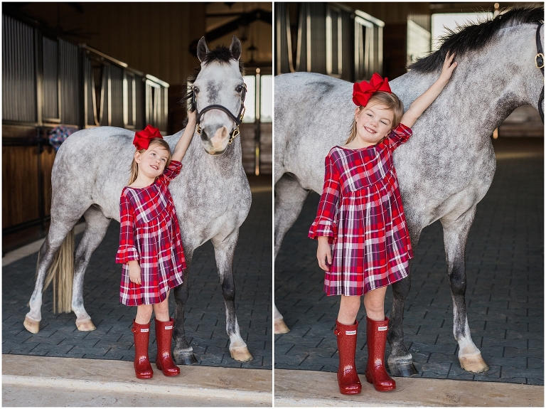 Houston Equine Photographer