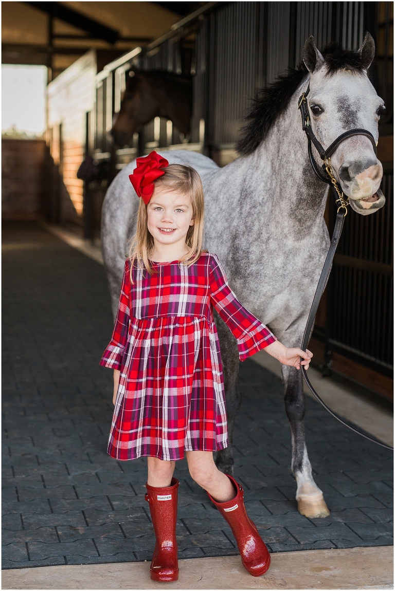 Houston Equine Photographer