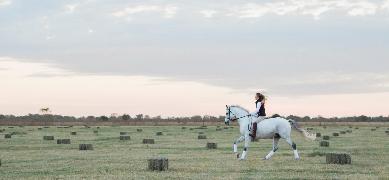 Sheila Scott Photography Horse and Rider Portraits