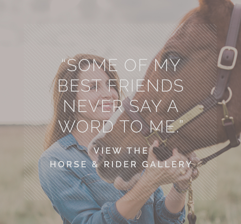 Sheila Scott Photography Horse & Rider Portraits