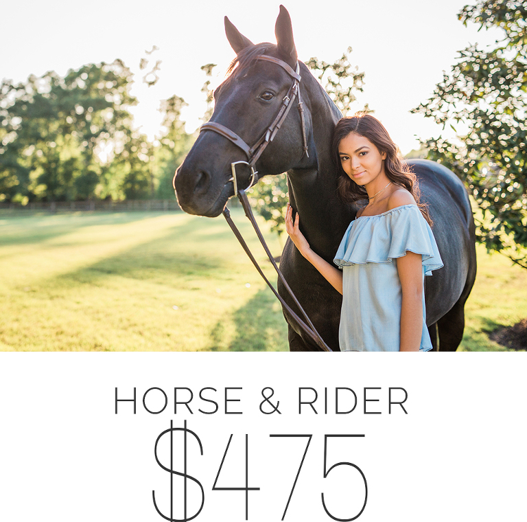 Horse and Rider Portraits